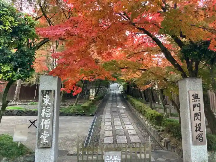 東福禅寺(東福寺)(京都府)