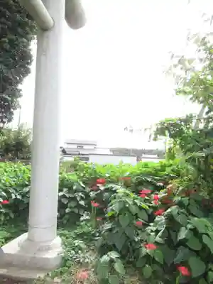 酒門神社(茨城県)