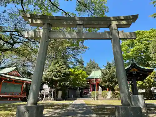 野毛六所神社の鳥居