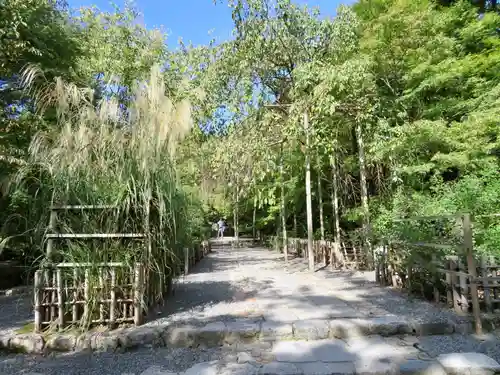 龍安寺の庭園