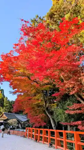 賀茂別雷神社（上賀茂神社）(京都府)