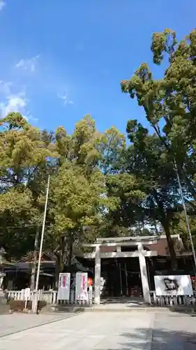 武田神社の自然