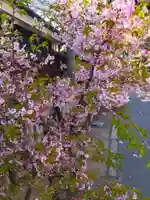 式内楯原神社(大阪府)