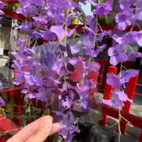 別小江神社のその他建物