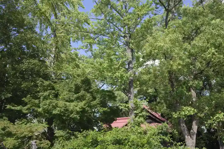 多摩川浅間神社(東京都)