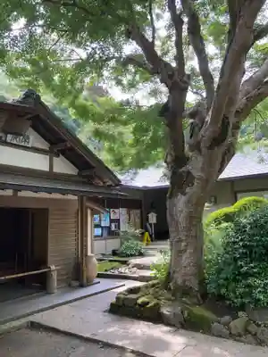 浄智寺(神奈川県)