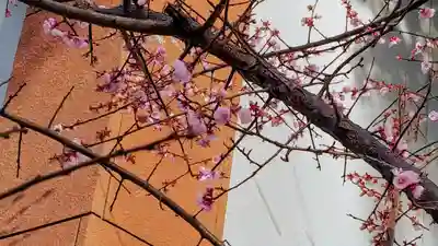 香椎宮(福岡県)