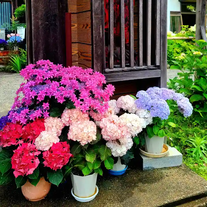 極楽寺(静岡県)