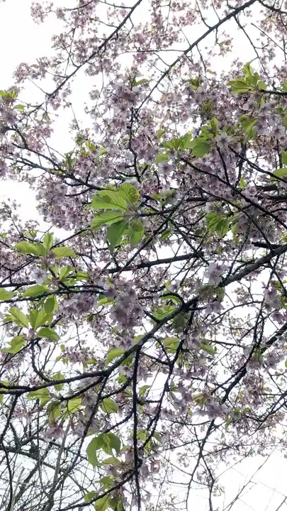 惠心院(京都府)