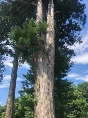 今熊保食神社(青森県)