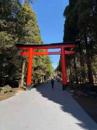 霧島神宮(鹿児島県)