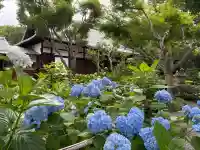 頼光寺(兵庫県)