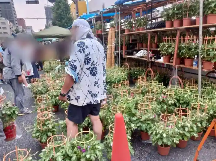 真源寺(入谷鬼子母神)(東京都)