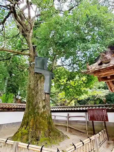 医王寺(福島県)