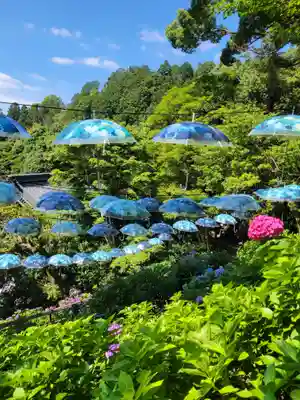 柳谷観音　楊谷寺(京都府)