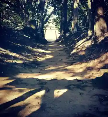 塩釜神社の自然