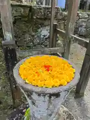 丹生都比売神社の手水