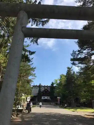 上川神社の鳥居