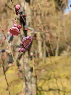 城南宮(京都府)