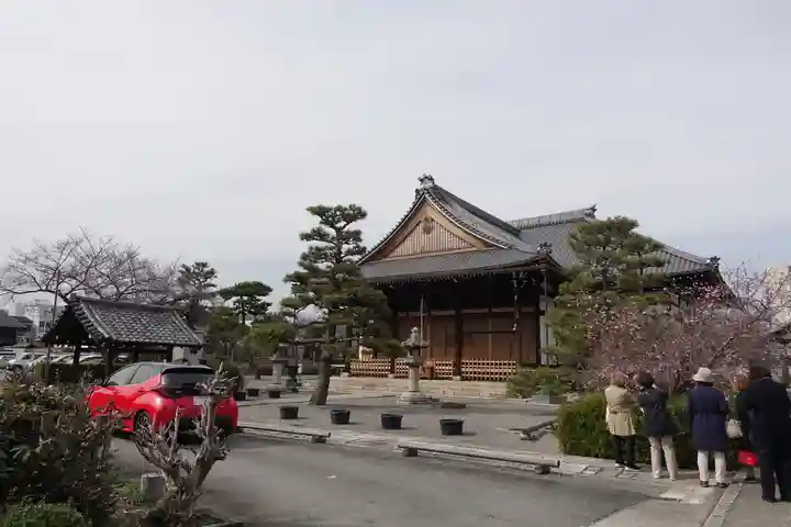 妙蓮寺の本殿・本堂