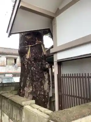 石神社の自然
