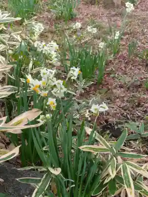宝樹院(神奈川県)