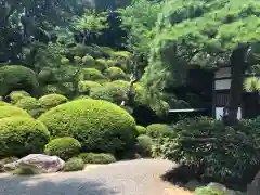 等覚院の庭園