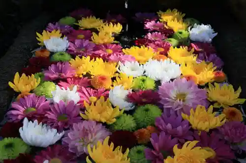 大鏑神社の手水舎