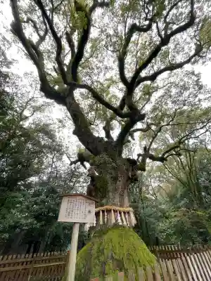 熱田神宮の{uncategorized: "未分類", other: "その他", undefined: "問題あり", building: "その他建物", grave: "お墓", sacred_gate: "鳥居", guardian: "狛犬", statue: "像", buddha: "仏像", history: "歴史", nature: "自然", garden: "庭園", animal: "動物", pagoda: "塔", temizu: "手水舎", mountain_gate: "山門・神門", sanctuary: "本殿・本堂", subordinate: "末社・摂社", art: "芸術", scenery: "景色", jizo: "地蔵", ema: "絵馬", goshuin: "御朱印", omikuji: "おみくじ", items: "授与品その他", amulet: "お守り", goshuincho: "御朱印帳", eats: "食事", festival: "お祭り", votive_dance: "神楽", shichigosan: "七五三参", wedding: "結婚式", experience: "体験その他", initially: "初詣", around: "周辺", anti_infection: "感染症対策"}