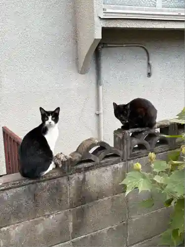 中川八幡神社(長崎県)
