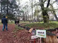 大星神社(長野県)