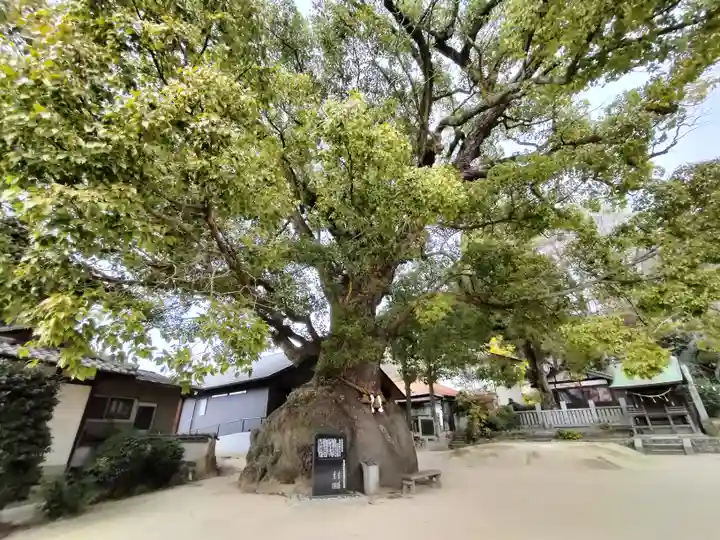 糸碕神社(広島県)