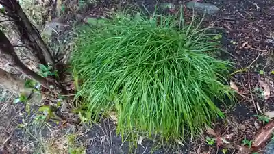 山神社（富士岡）(静岡県)