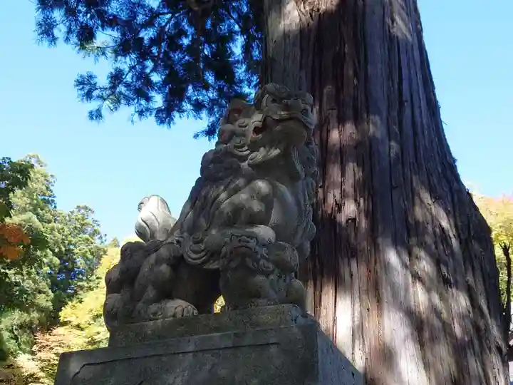 戸隠神社中社(長野県)