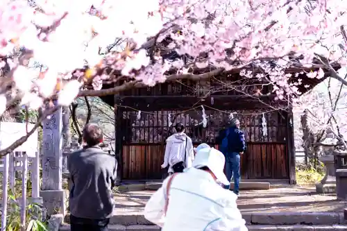 新城藤原神社(長野県)
