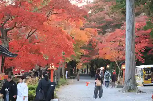 大原野神社の景色