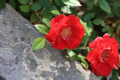 神炊館神社 ⁂奥州須賀川総鎮守⁂の庭園