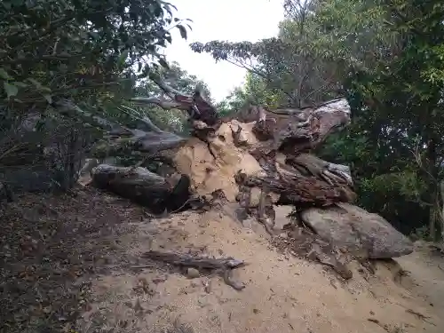 大聖院弥山本堂(広島県)