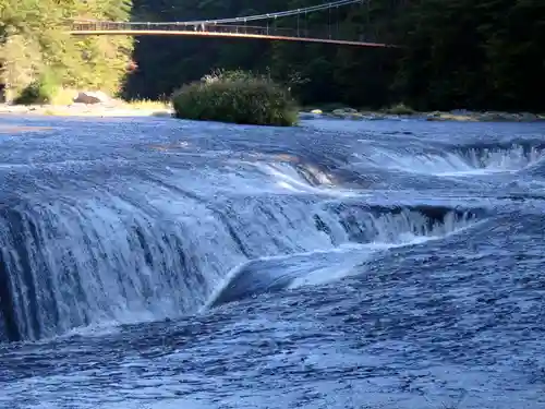 浮島観音堂の自然
