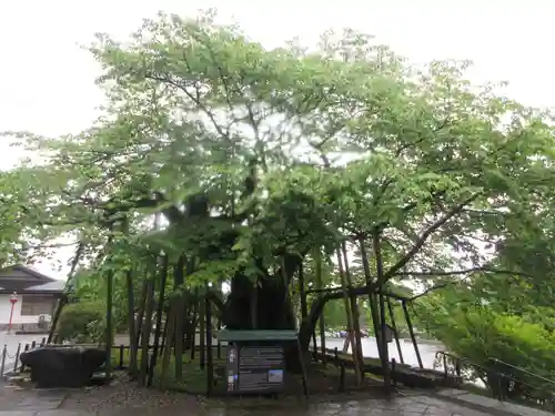 輪王寺(栃木県)