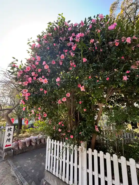 七所神社の{uncategorized: "未分類", other: "その他", undefined: "問題あり", building: "その他建物", grave: "お墓", sacred_gate: "鳥居", guardian: "狛犬", statue: "像", buddha: "仏像", history: "歴史", nature: "自然", garden: "庭園", animal: "動物", pagoda: "塔", temizu: "手水舎", mountain_gate: "山門・神門", sanctuary: "本殿・本堂", subordinate: "末社・摂社", art: "芸術", scenery: "景色", jizo: "地蔵", ema: "絵馬", goshuin: "御朱印", omikuji: "おみくじ", items: "授与品その他", amulet: "お守り", goshuincho: "御朱印帳", eats: "食事", festival: "お祭り", votive_dance: "神楽", shichigosan: "七五三参", wedding: "結婚式", experience: "体験その他", initially: "初詣", around: "周辺", anti_infection: "感染症対策"}