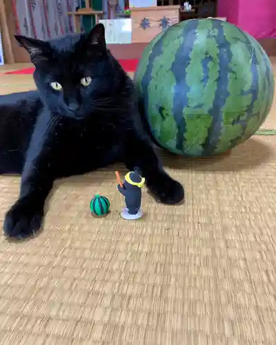 高司神社〜むすびの神の鎮まる社〜の動物