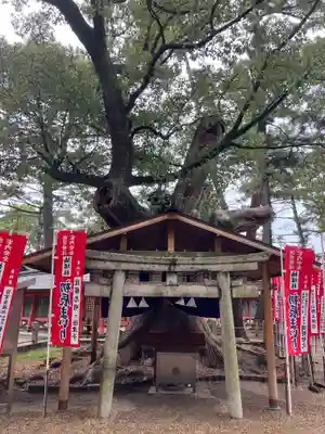 住吉大社(大阪府)