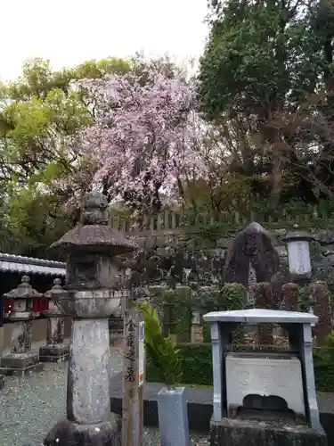 本妙寺(熊本県)