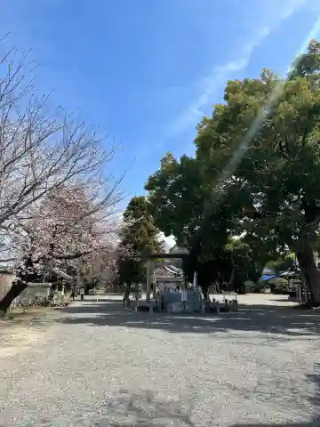 石刀神社の{uncategorized: "未分類", other: "その他", undefined: "問題あり", building: "その他建物", grave: "お墓", sacred_gate: "鳥居", guardian: "狛犬", statue: "像", buddha: "仏像", history: "歴史", nature: "自然", garden: "庭園", animal: "動物", pagoda: "塔", temizu: "手水舎", mountain_gate: "山門・神門", sanctuary: "本殿・本堂", subordinate: "末社・摂社", art: "芸術", scenery: "景色", jizo: "地蔵", ema: "絵馬", goshuin: "御朱印", omikuji: "おみくじ", items: "授与品その他", amulet: "お守り", goshuincho: "御朱印帳", eats: "食事", festival: "お祭り", votive_dance: "神楽", shichigosan: "七五三参", wedding: "結婚式", experience: "体験その他", initially: "初詣", around: "周辺", anti_infection: "感染症対策"}