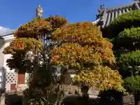 真言宗 善通寺派 薬王寺(香川県)