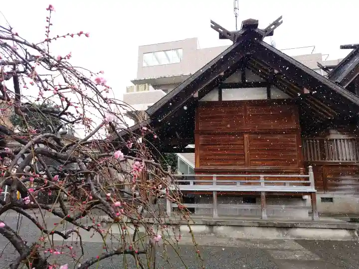 報徳二宮神社の{uncategorized: "未分類", other: "その他", undefined: "問題あり", building: "その他建物", grave: "お墓", sacred_gate: "鳥居", guardian: "狛犬", statue: "像", buddha: "仏像", history: "歴史", nature: "自然", garden: "庭園", animal: "動物", pagoda: "塔", temizu: "手水舎", mountain_gate: "山門・神門", sanctuary: "本殿・本堂", subordinate: "末社・摂社", art: "芸術", scenery: "景色", jizo: "地蔵", ema: "絵馬", goshuin: "御朱印", omikuji: "おみくじ", items: "授与品その他", amulet: "お守り", goshuincho: "御朱印帳", eats: "食事", festival: "お祭り", votive_dance: "神楽", shichigosan: "七五三参", wedding: "結婚式", experience: "体験その他", initially: "初詣", around: "周辺", anti_infection: "感染症対策"}