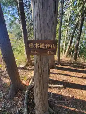 阿夫利神社(藤本観音山古墳)(栃木県)