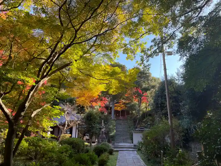 来迎院(京都府)