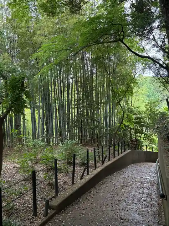 本土寺(千葉県)
